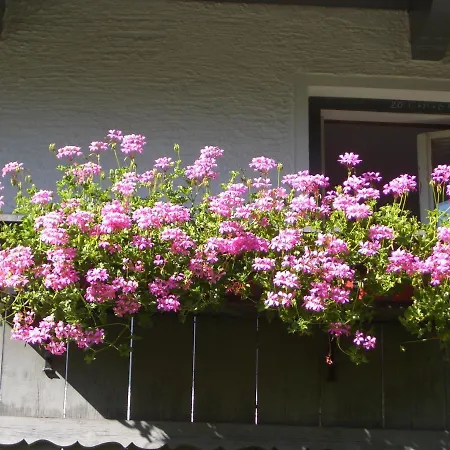 Апартаменти Meckyheim *