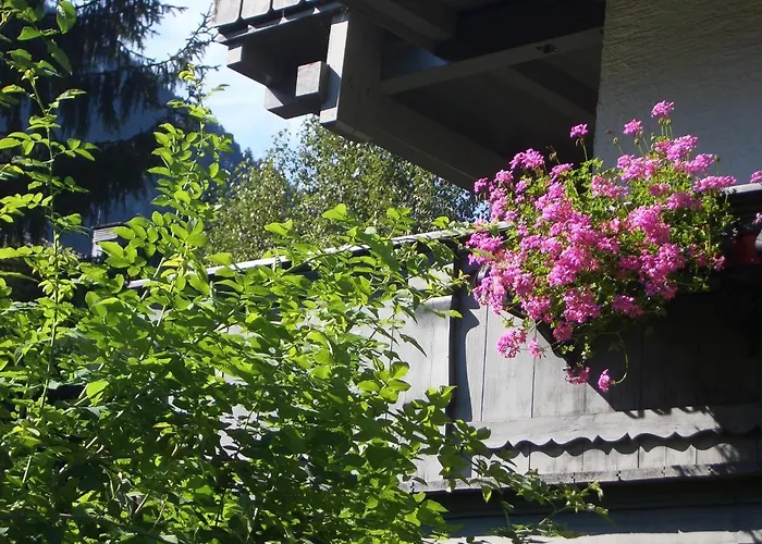 Апартаменты Meckyheim *